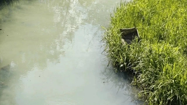 Жители Ярославля обеспокоены состоянием реки Дунайки

Фото: Жесть Ярославль. Автор: Фёдор Грибов ("П