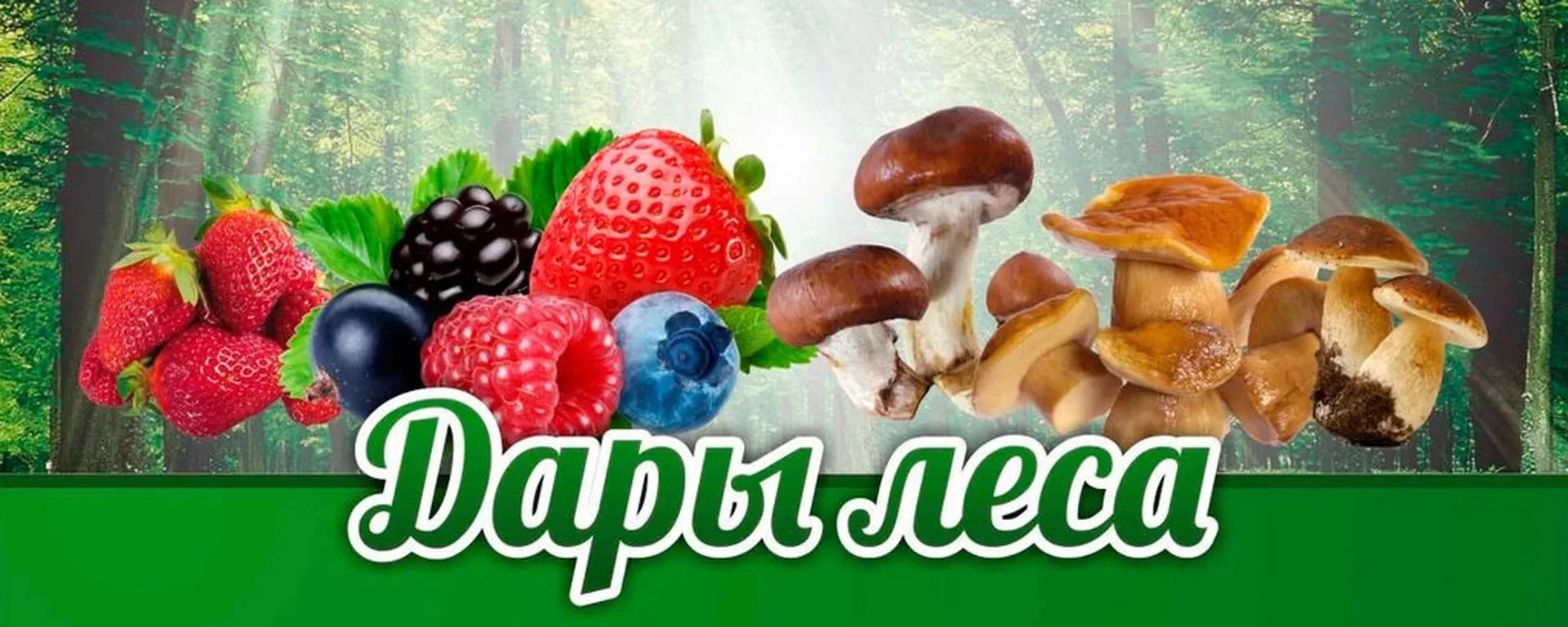 На этой неделе мы с ребятами изучали лесные дары 🌲 Мы провели беседы о съедобных гриба...