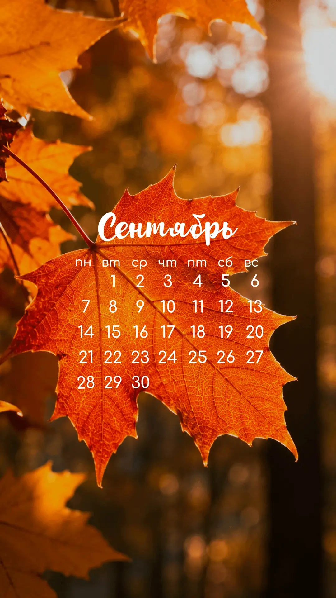 🍁Обои на  СЕНТЯБРЬ 🍁