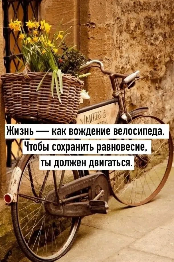 📝 МЫСЛЬ ДНЯ:
