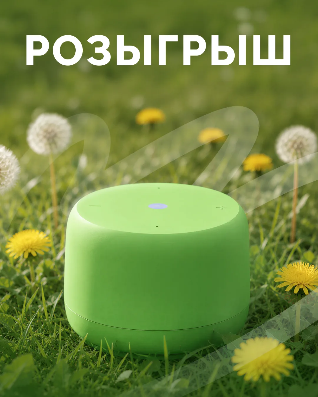 🎁☀ ЛЕТНИЙ РОЗЫГРЫШ