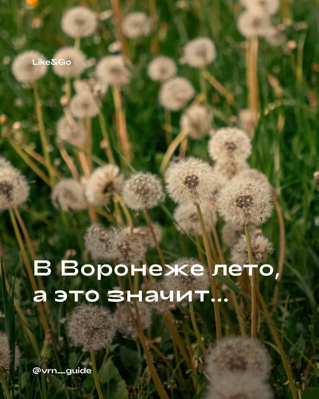 Расчехляем ролики, скейты и велосипеды! 🚲

В карточках собрали свои любимые места для прогулок на к
