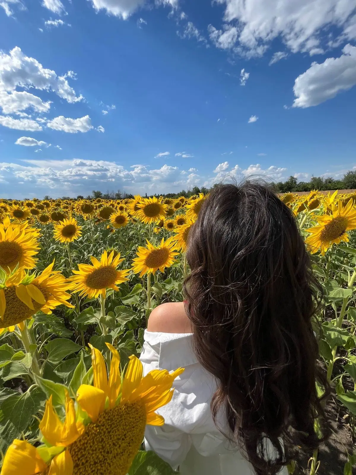 🌻🌻🌻

ИДЕИ ДЛЯ ФОТО 💫