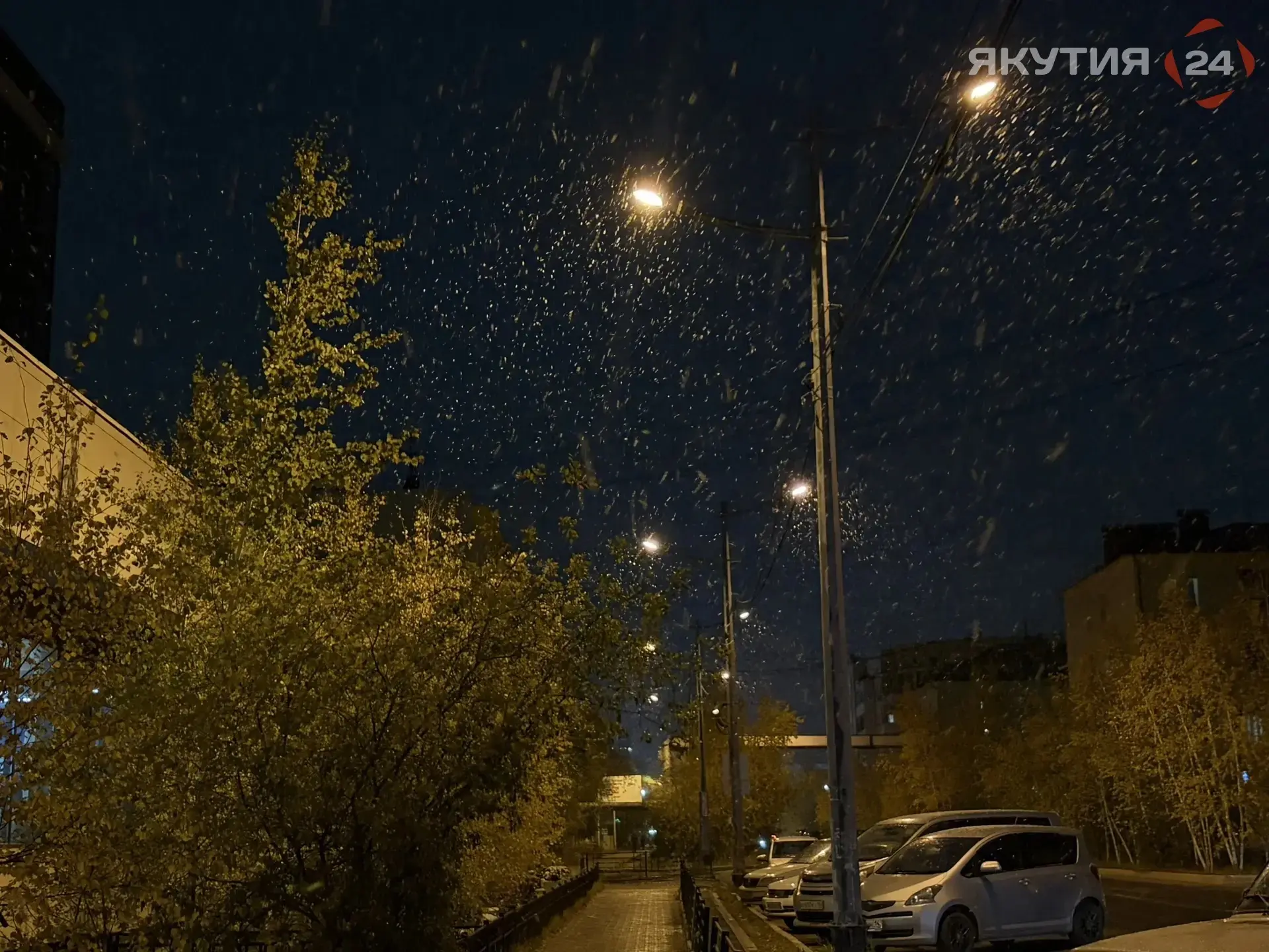 ❄️Мокрый снег и ветер до 24 м/с: прогноз погоды в Якутии на 1 октября