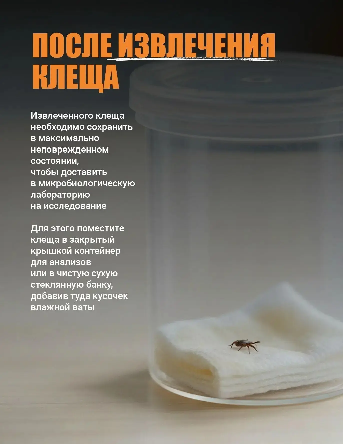 Погода дарит теплые, солнечные дни, а это отличная возможность выбраться всей семьей, с друзьями на 