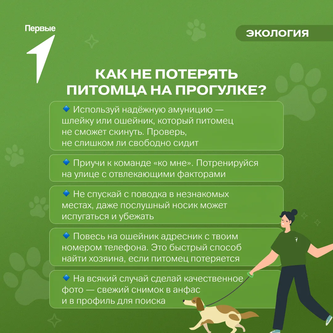 🐕‍🦺 Прогулка без тревог. Юннат, следи за питомцем!

Выход на улицу с собакой или кошкой — отличная
