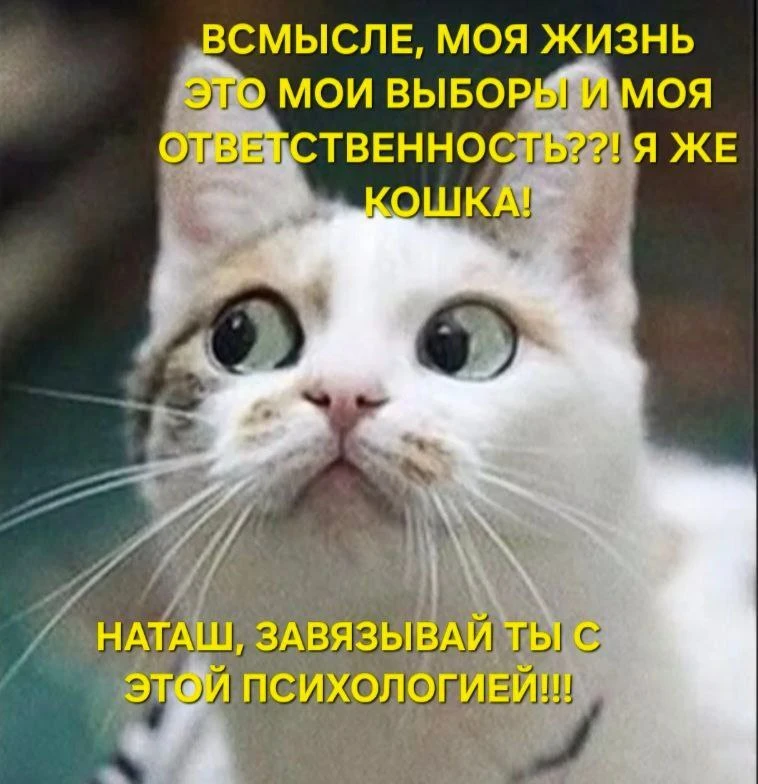 Пятничная псиХАХАлогия 😁