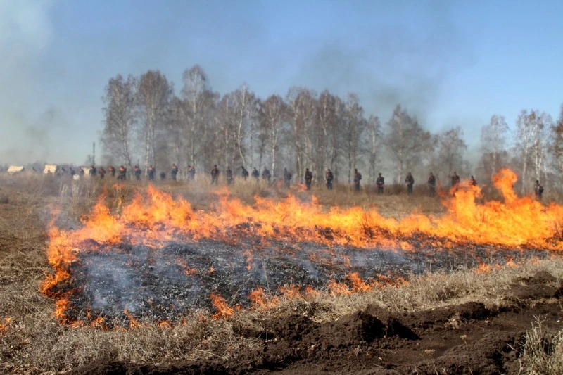🔥🚒 Пожароопасный сезон открыт в Новосибирской области. В этот период гражданам запрещ...
