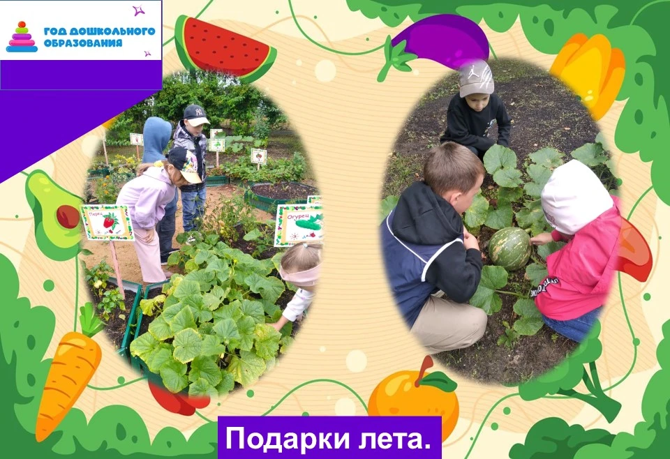 ✨Лето — это не просто тёплые дни, а ещё и радость от общения с природой, и новые знания...
