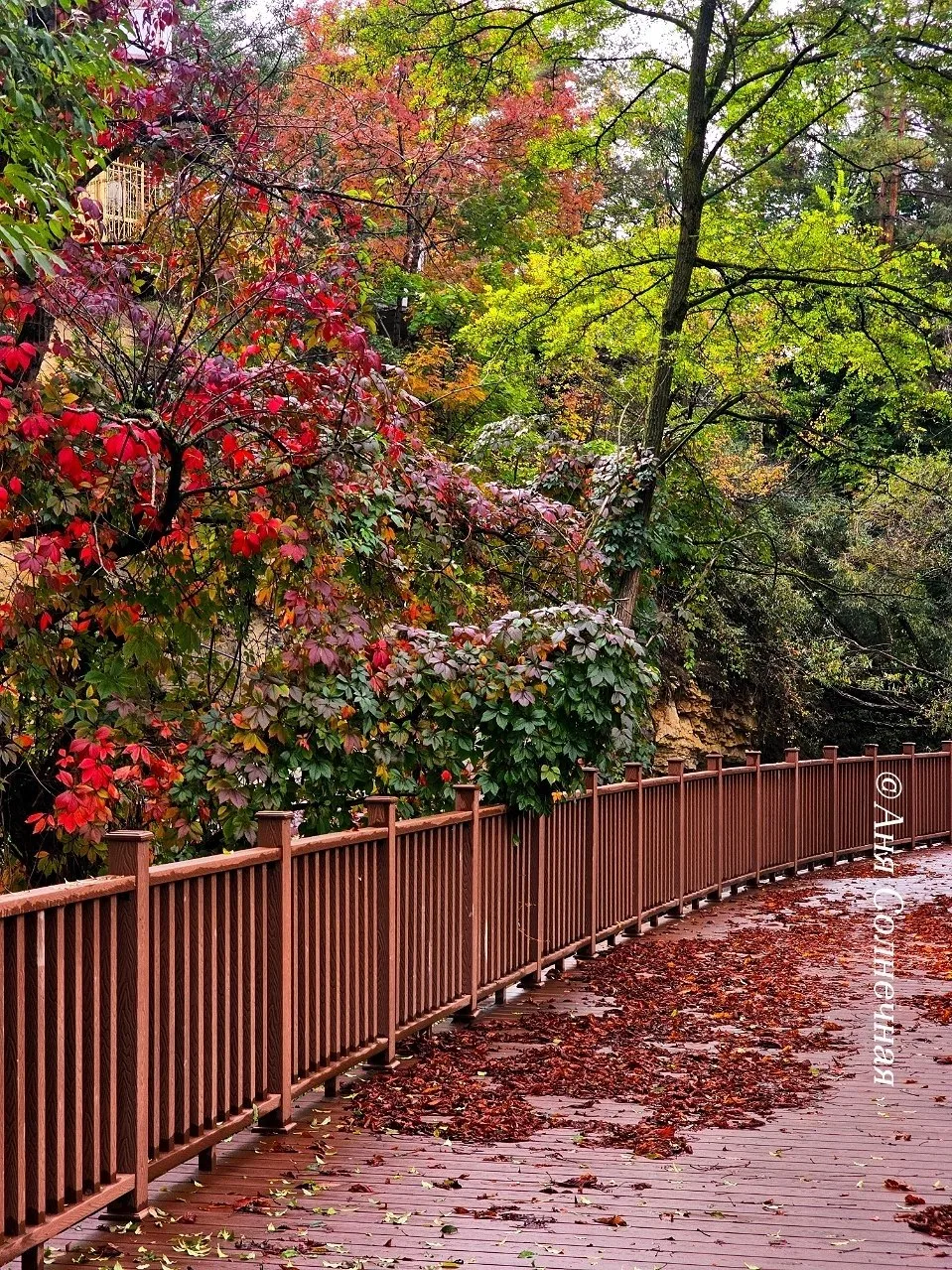 Осенний Кисловодск🍁 - фото Аня Солнечная