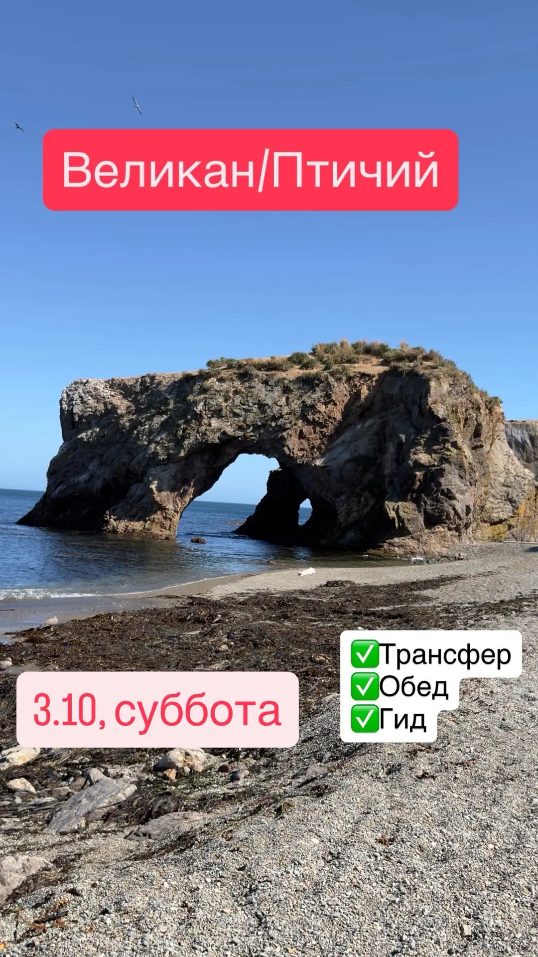 Мыс Великан и Птичий🗿