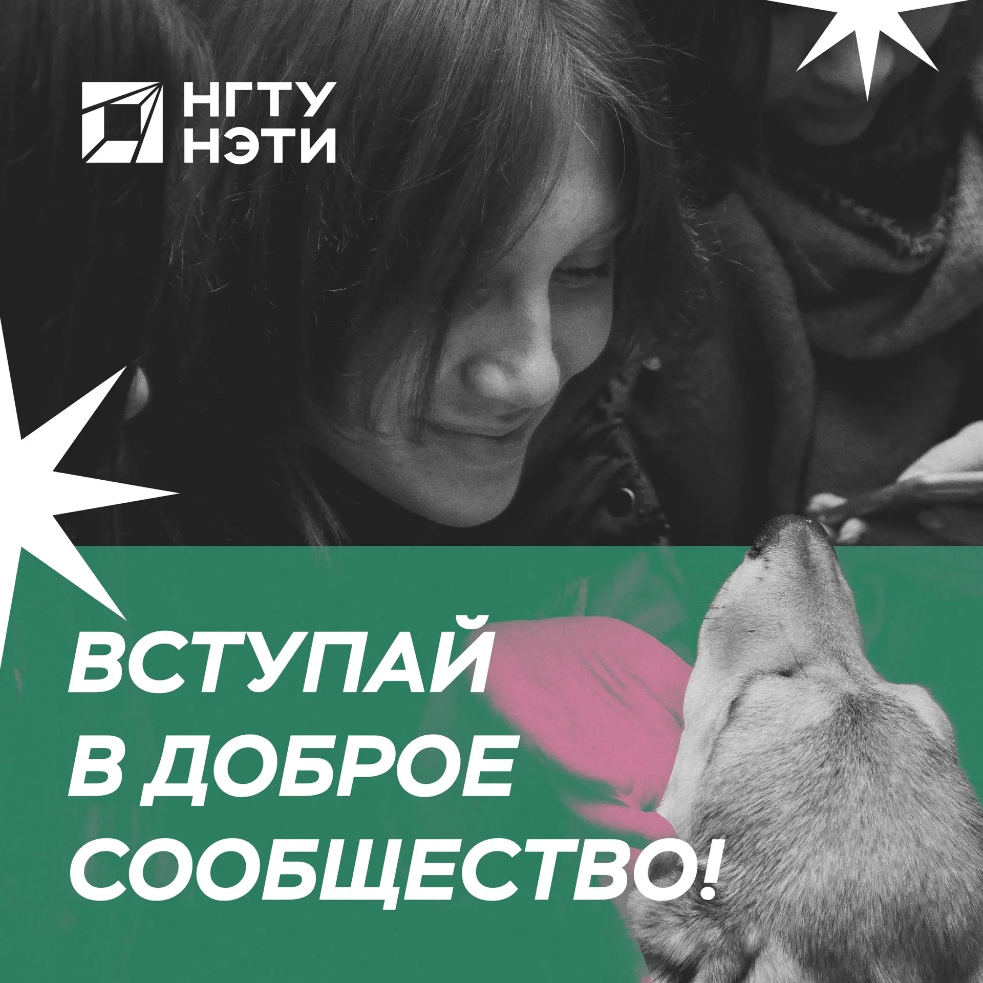 НЭТИ — территория добра🌸 Знакомьтесь с активными студенческими объединениями, готовыми...