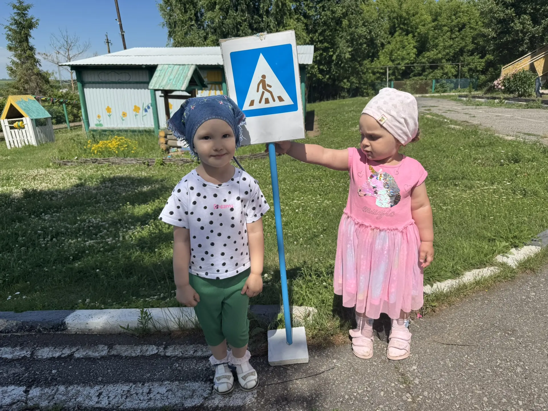 Научили детей различать и понимать дорожные знаки, предназначенные для пешеходов и води...