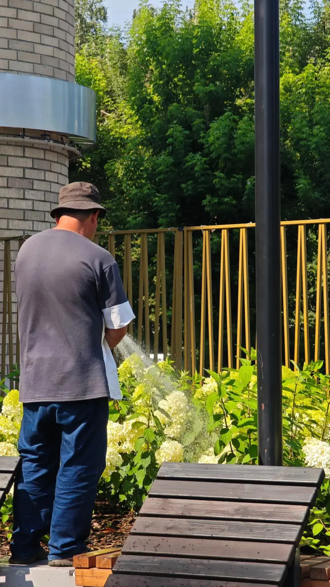 В такую жаркую погоду растения особенно нуждаются в заботе! 🌿

Мы не даём нашим зелёным друзьям стр