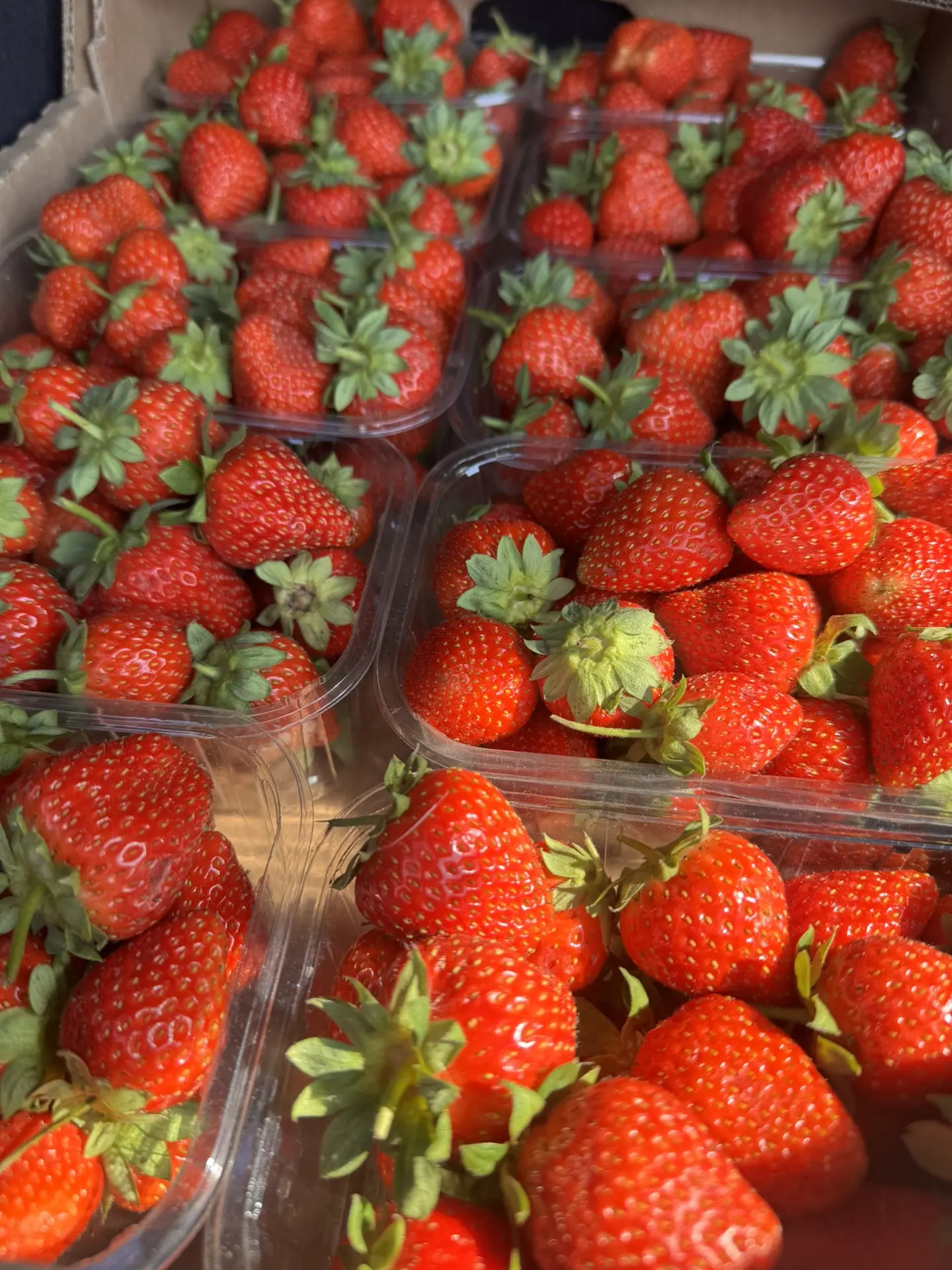Ароматная клубника 🍓