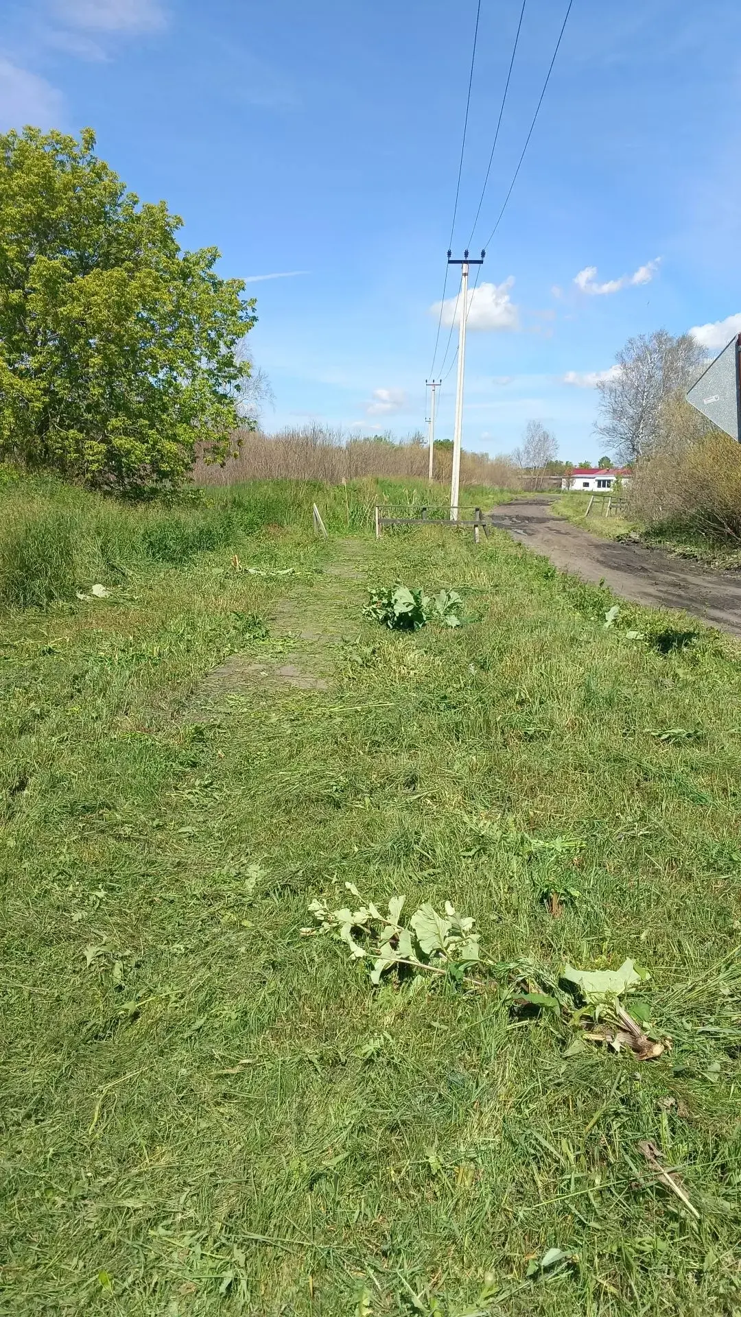 19.06.2026 г.

Проводятся работы- окос тротуара( пгт. Пышма, ул. Мелиораторов)

#МУПЖКХТрифоновское