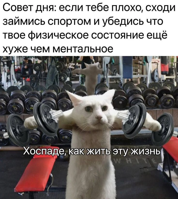 😅 Когда мотивация закончилась ещё до тренировки