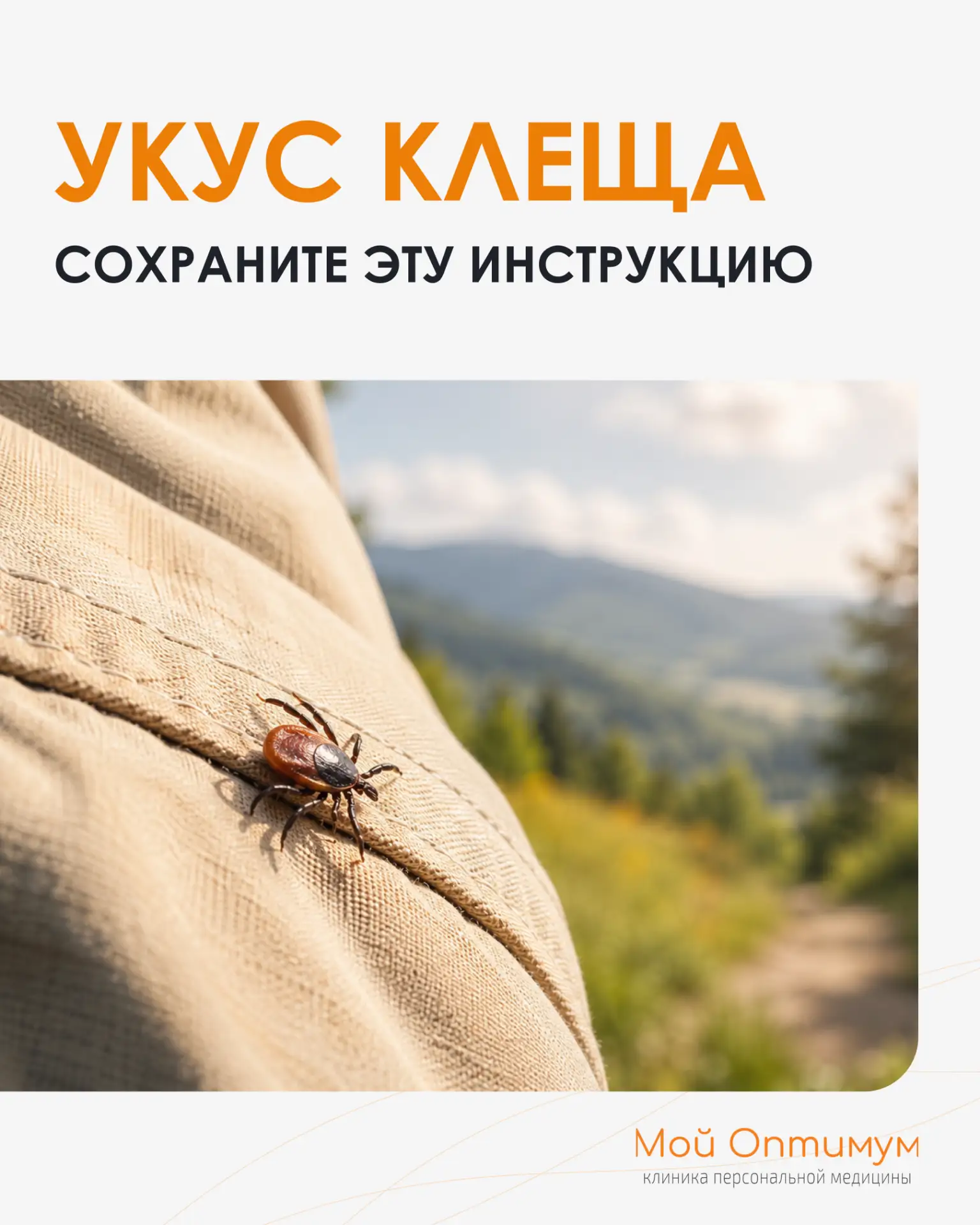 🕷 Сезон клещей. Что важно знать прямо сейчас?