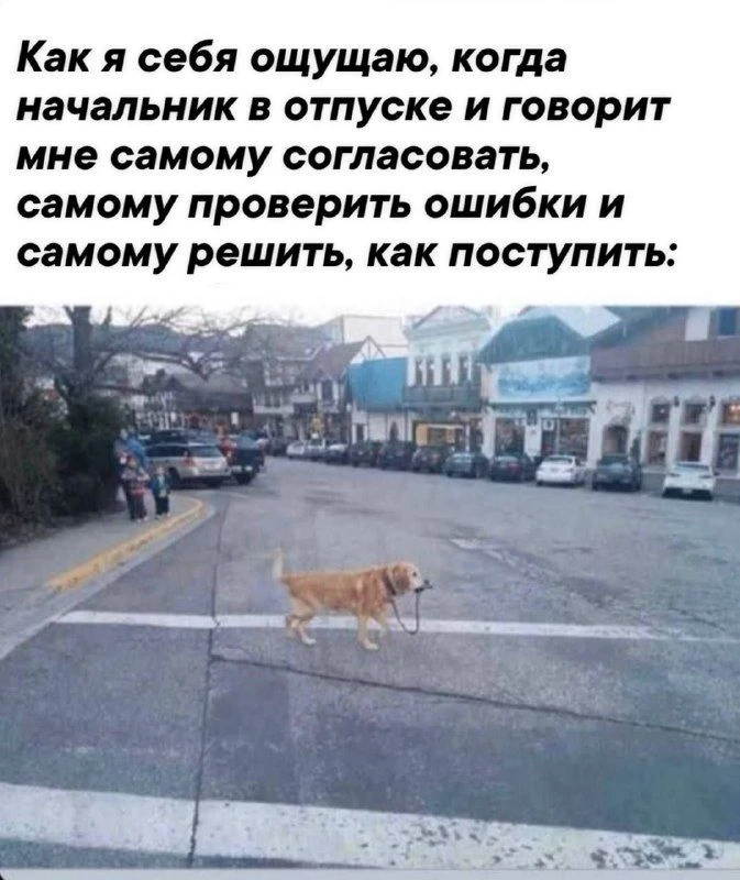 Ваша БеспринципнаяHR