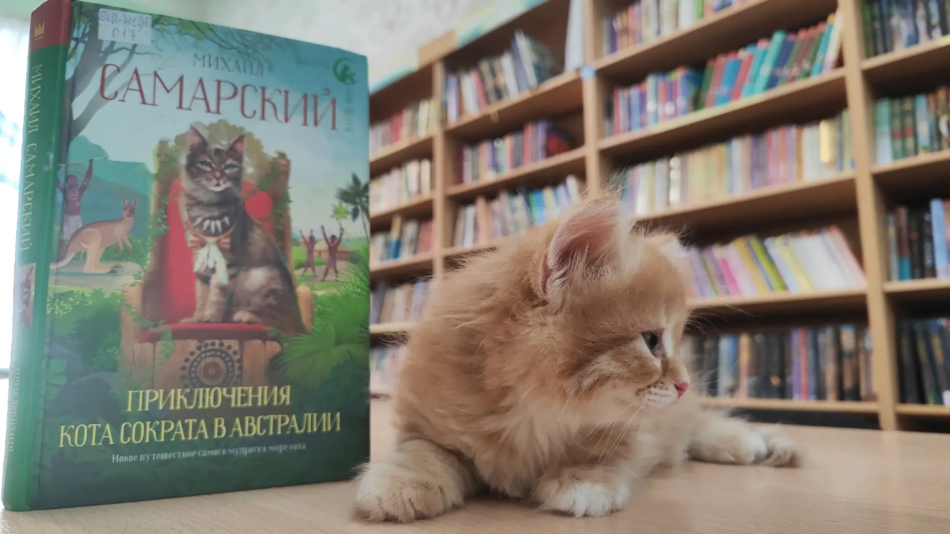 Мурр! Приветствую всех любителей книг! Я — пушистый читатель Библиотеки для детей и юно...