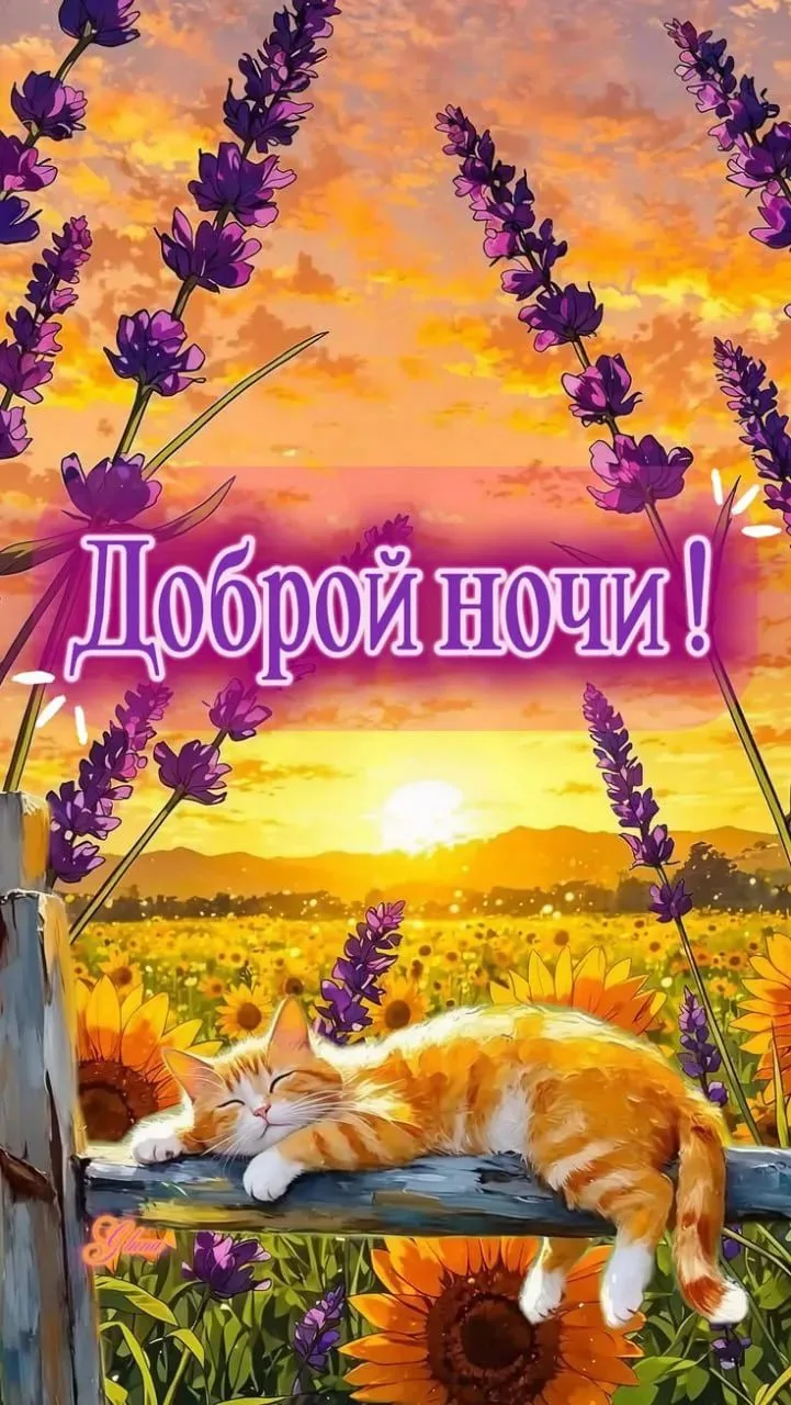 🦋ДОБРОЙ НОЧИ 🦋