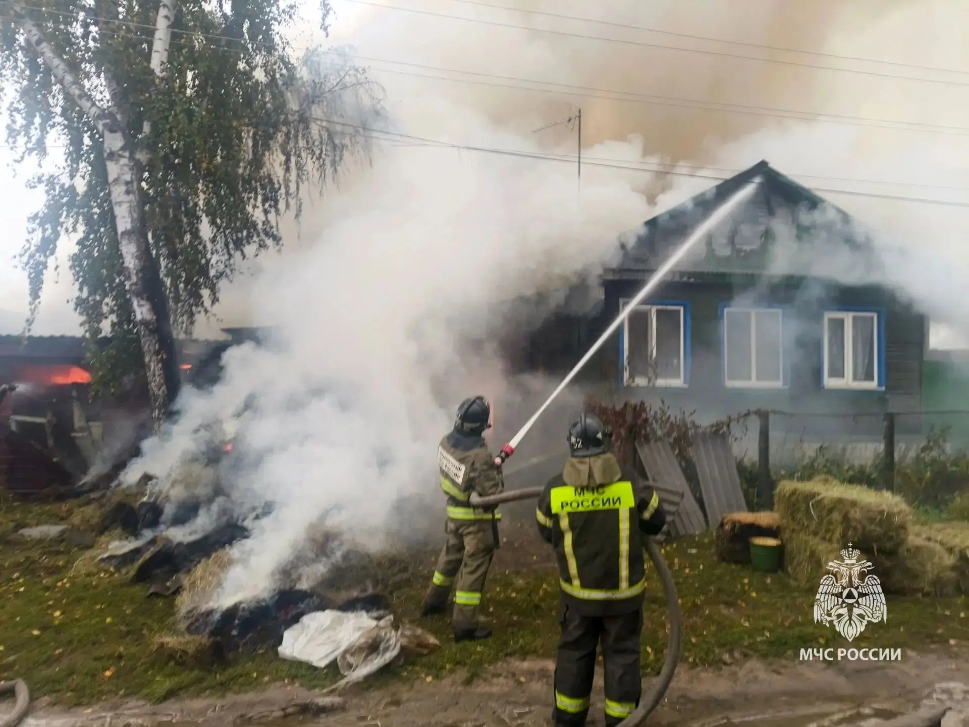 В Саратовской области за прошедшие сутки