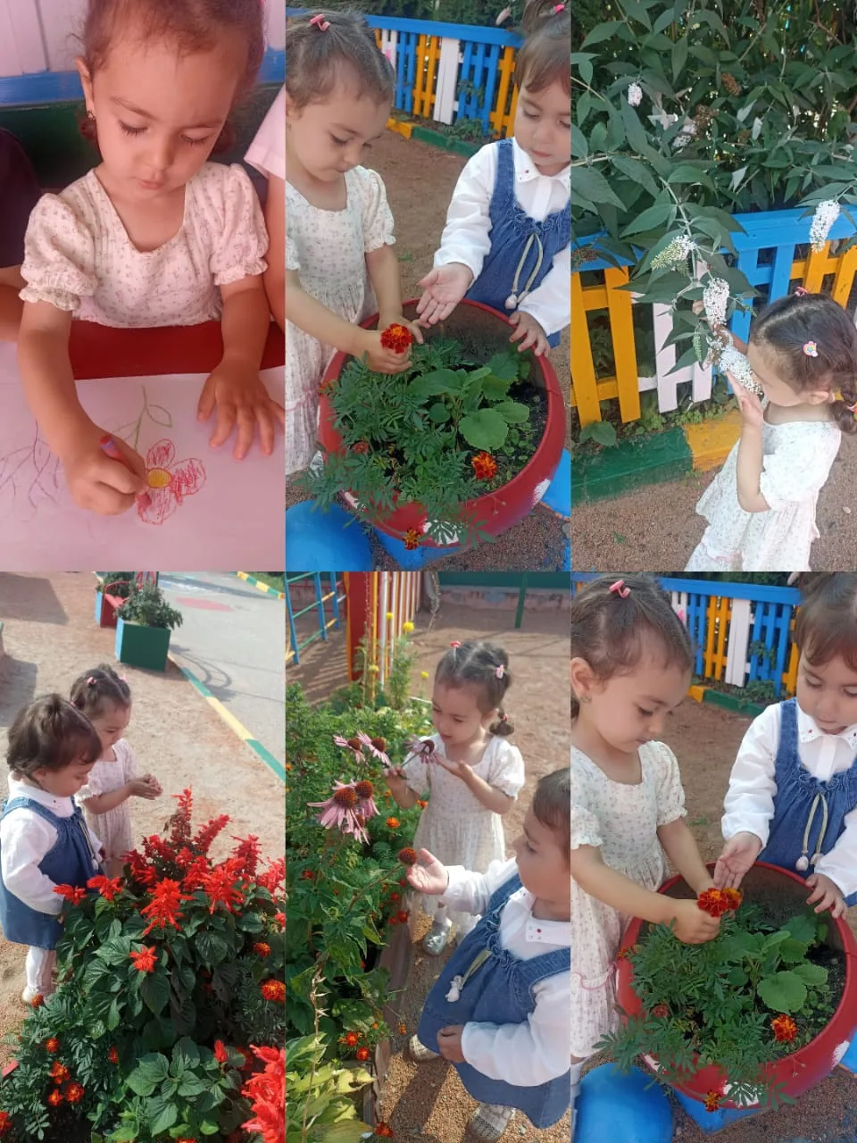 Сегодня для самых маленьких детей провели экскурсию по участку: