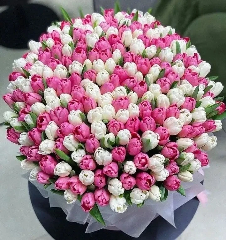 🌷С Международным женским днём, дорогие мамы, бабушки, педагоги и все прекрасные женщины нашего родит