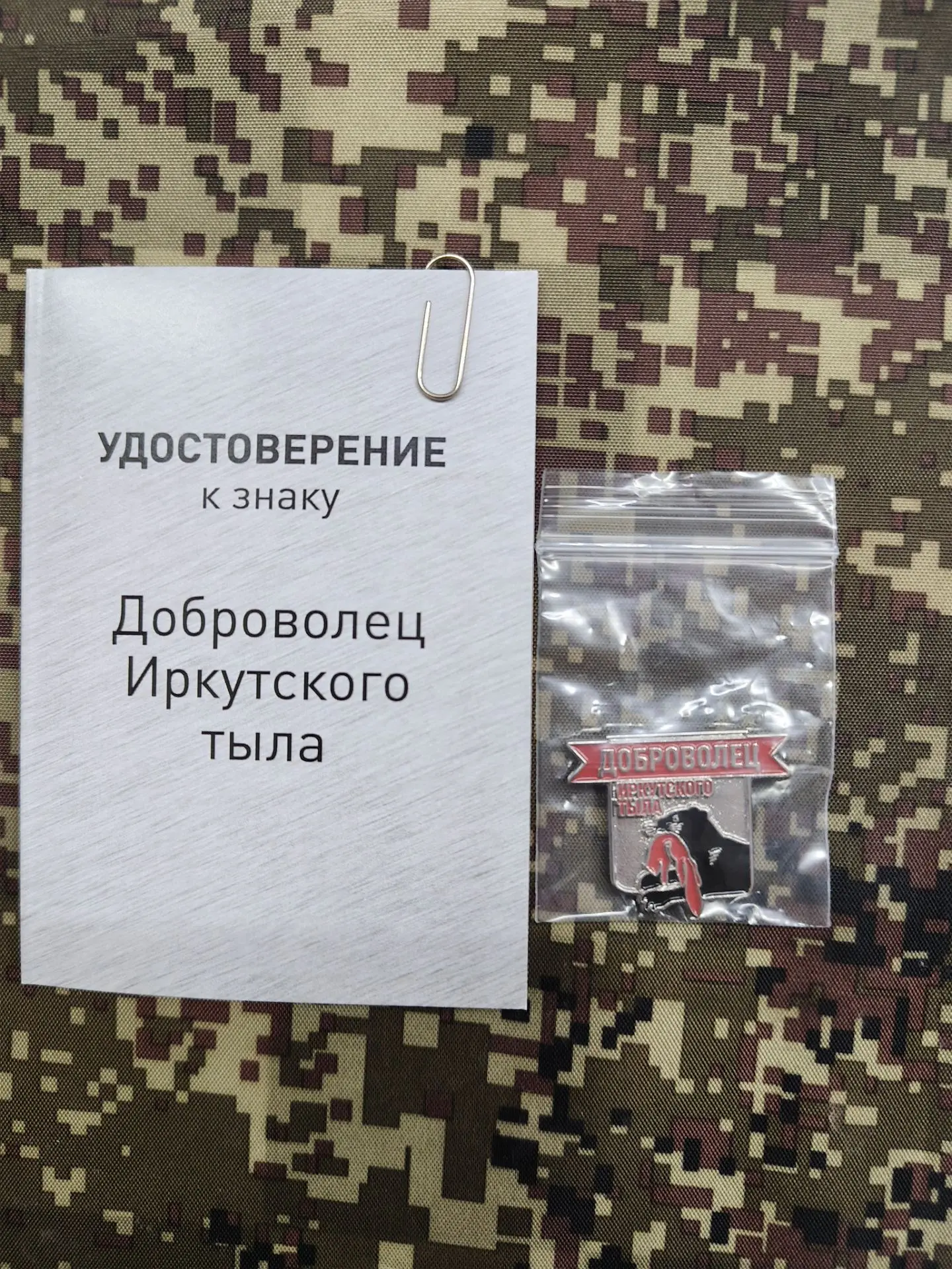 Самым активным участникам был вручен памятный знак «Доброволец Иркутского тыла».