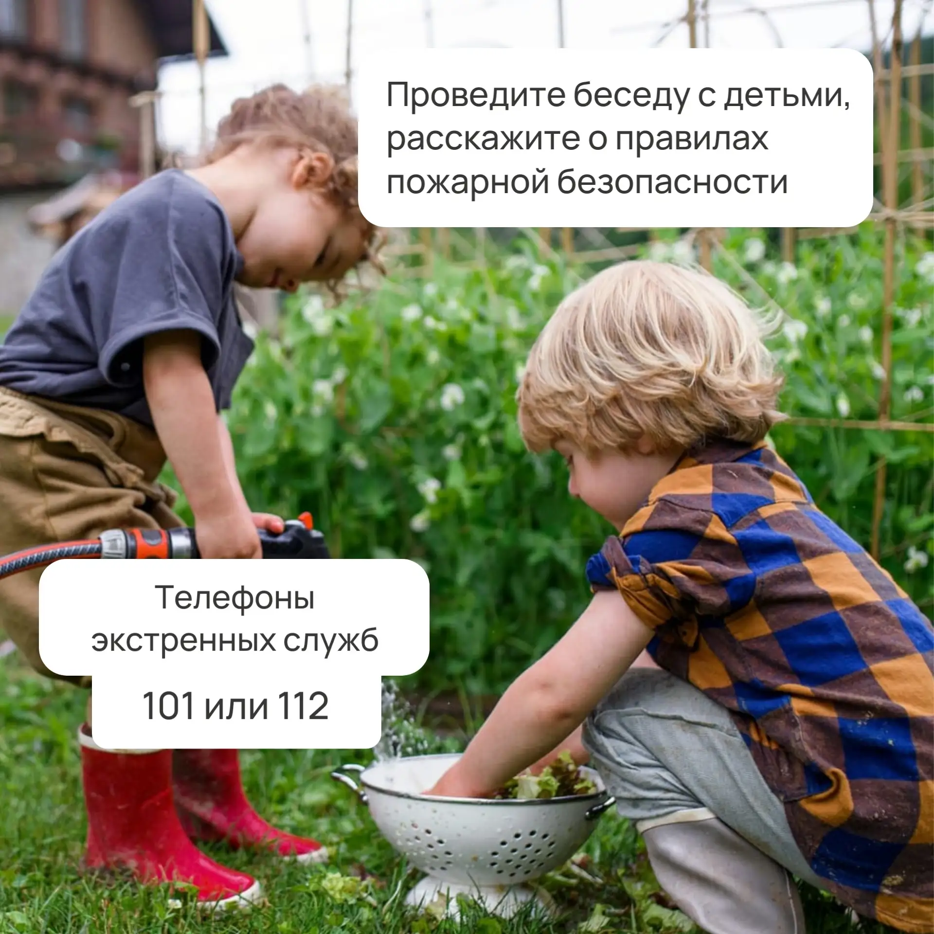 Готовим дачные участки к лету - соблюдаем правила пожарной безопасности🧯  В наших карточках простые 