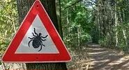 ⚠️ Тёплая осень = сезон клещей ещё не закончен! ⚠️
