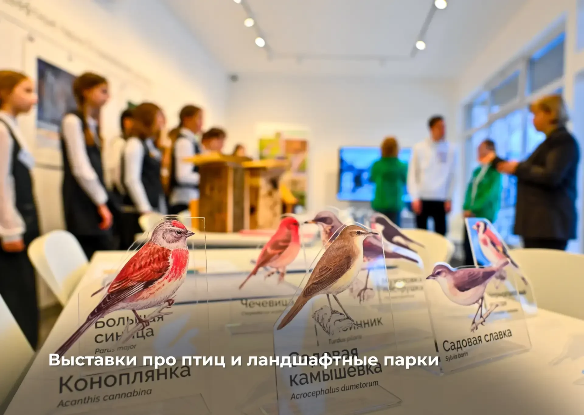 Первый визит-центр в долинах малых рек открыт для жителей и гостей Перми  Сегодня открыли визит-цент
