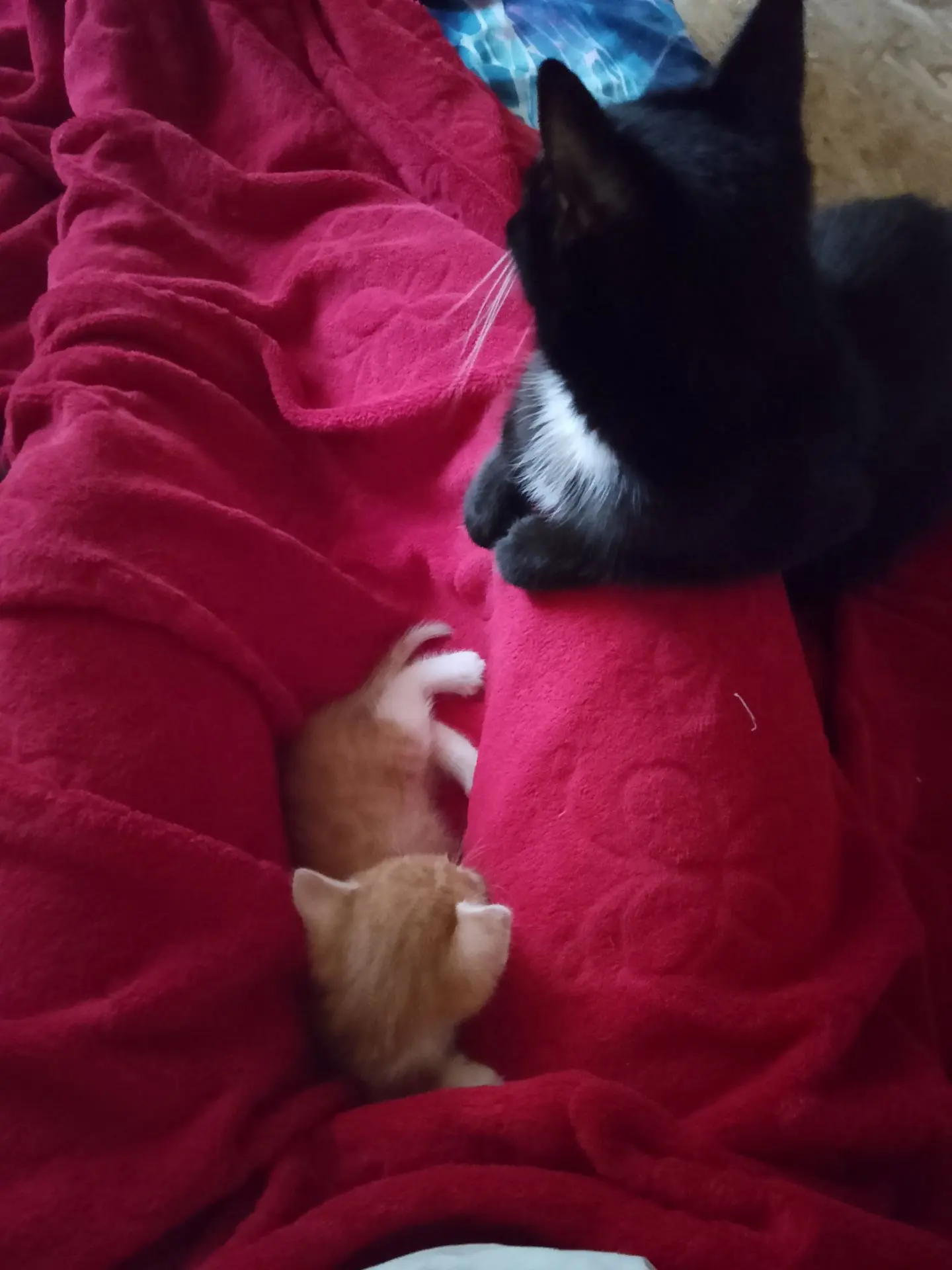 Фото