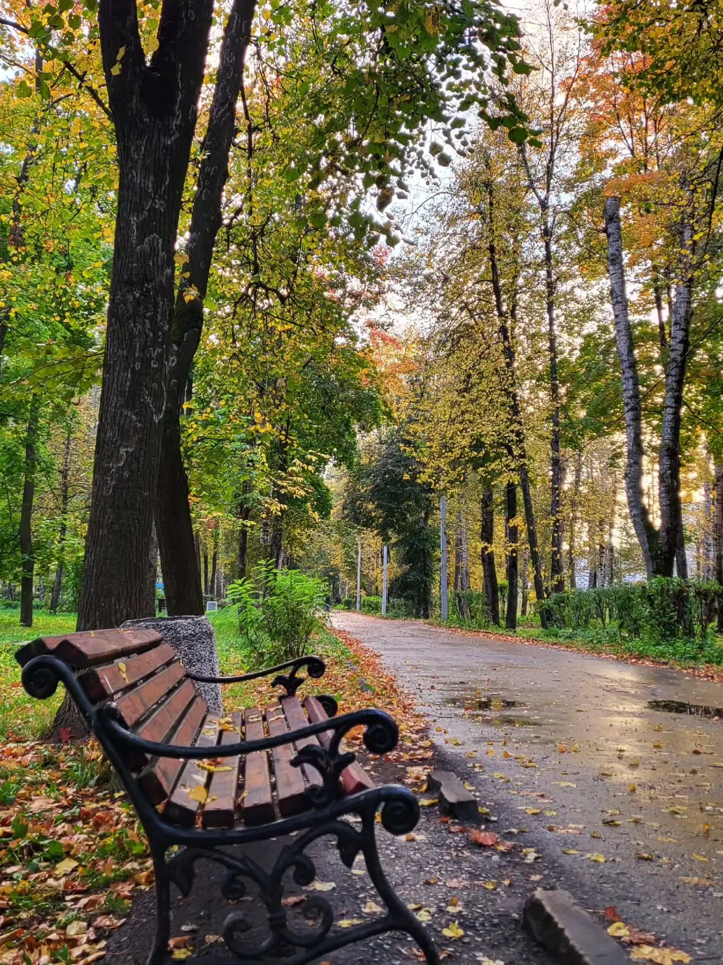 🍂Прогуливаясь по осеннему парку.