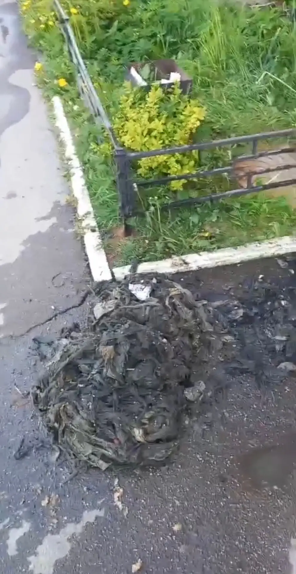 Влажные салфетки и влажная туалетная бумага НЕ растворяются в воде! Они засоряют трубы и очистные со