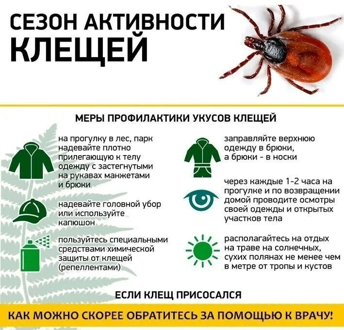 Осторожно – клещи! Памятка для детей и взрослых                                        ...