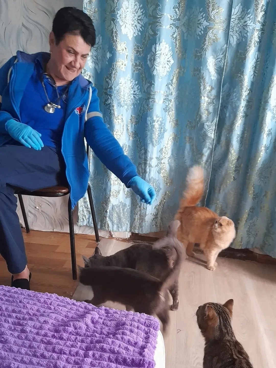 🐈Которубрика!