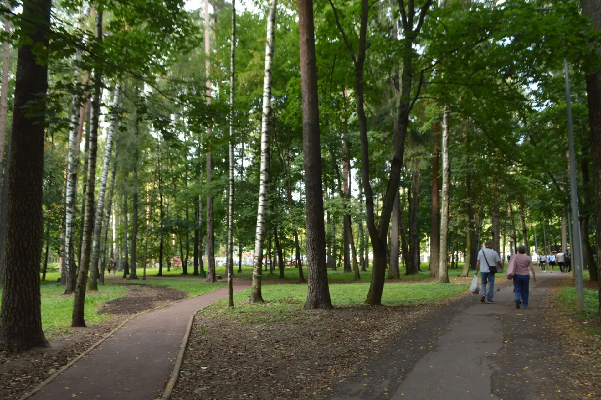 Доброе утро, дорогие друзья! 🍃