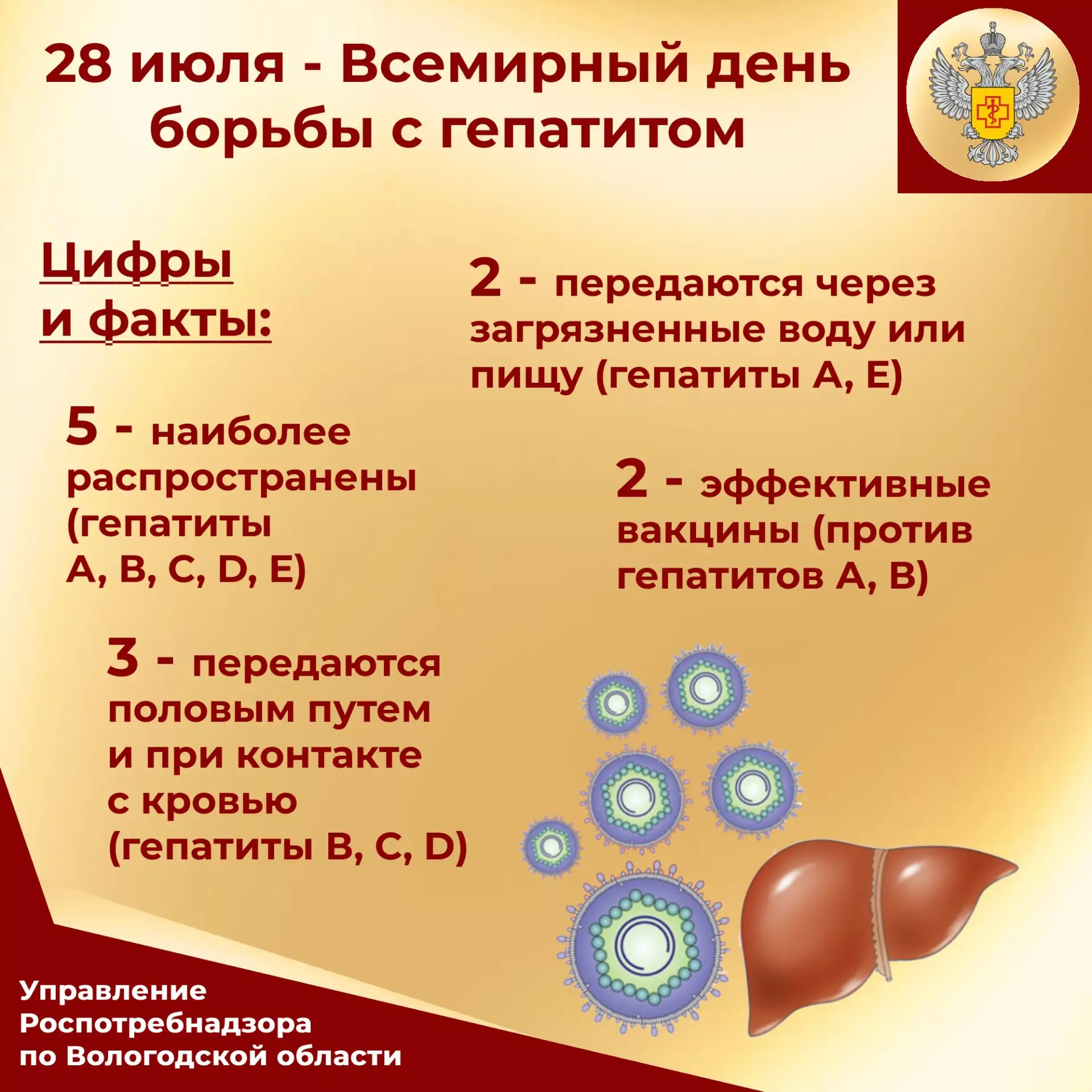 Ежегодно 28 июля во многих странах проводятся мероприятия, посвященные Всемирному дню б...