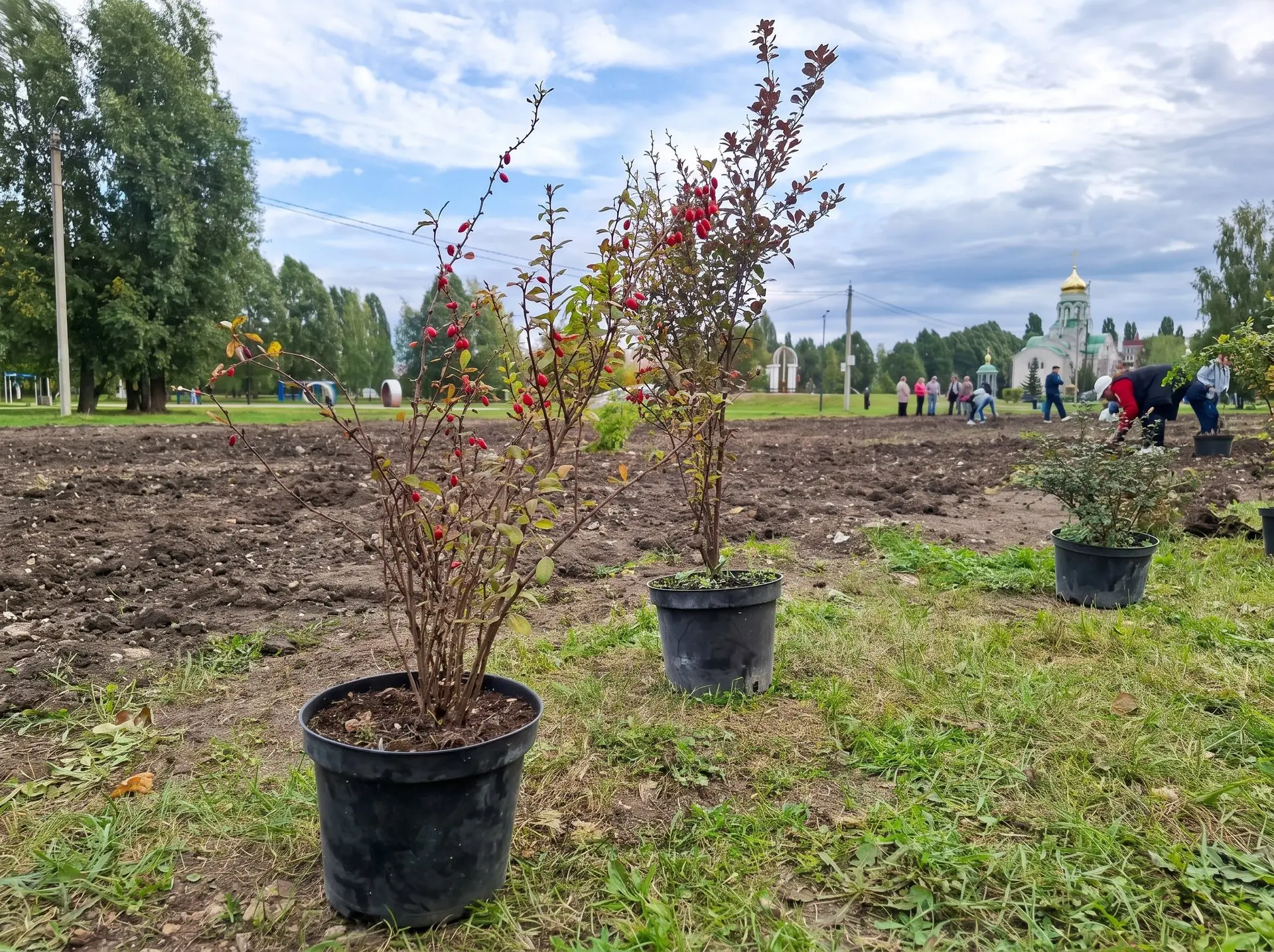 🌳 В Грязях продолжают благоустройство сквера 50-летия Победы