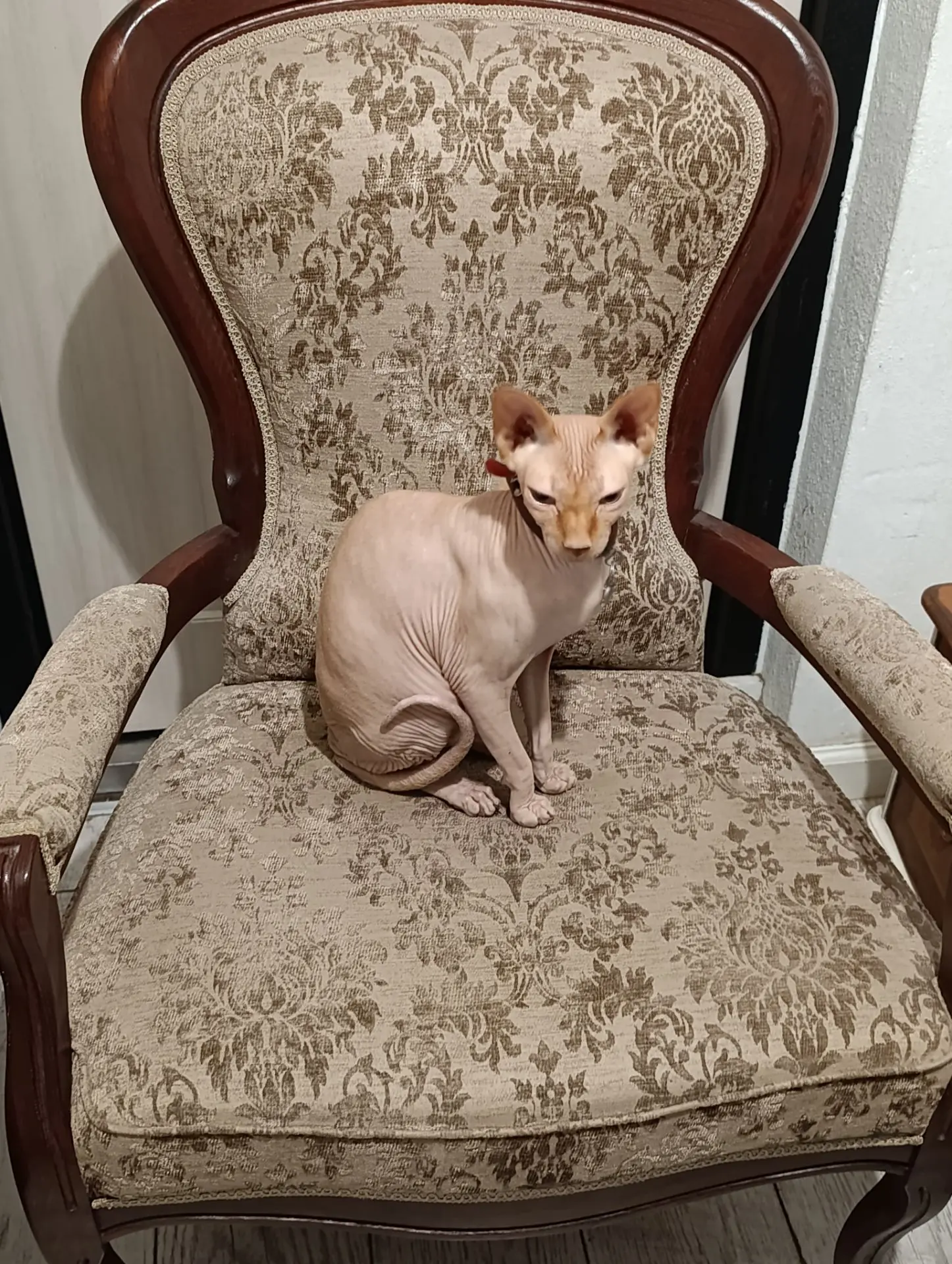 Ну подлецу вообще все к лицу😹