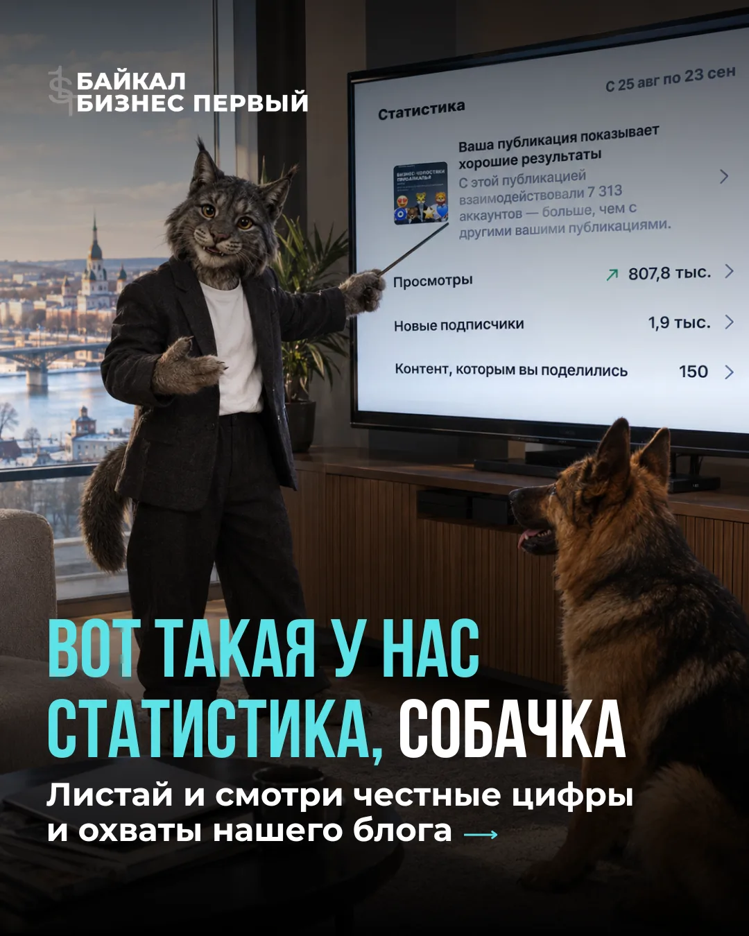 Такая статистика, собачка 🐶
