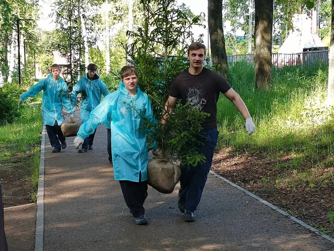 🌳 А у нас в Нижнем, Павлово накрыла «Зеленая волна»: в парке имени 40-летия ВЛКСМ высадили еловую а