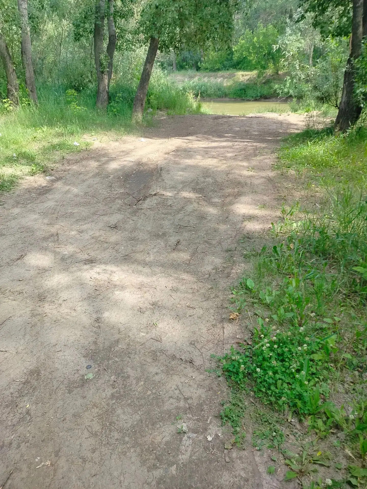 Сегодня, 15 июля, родительский патруль 4" В"кл. провел рейд по берегу реки Алей  в районе подвесного