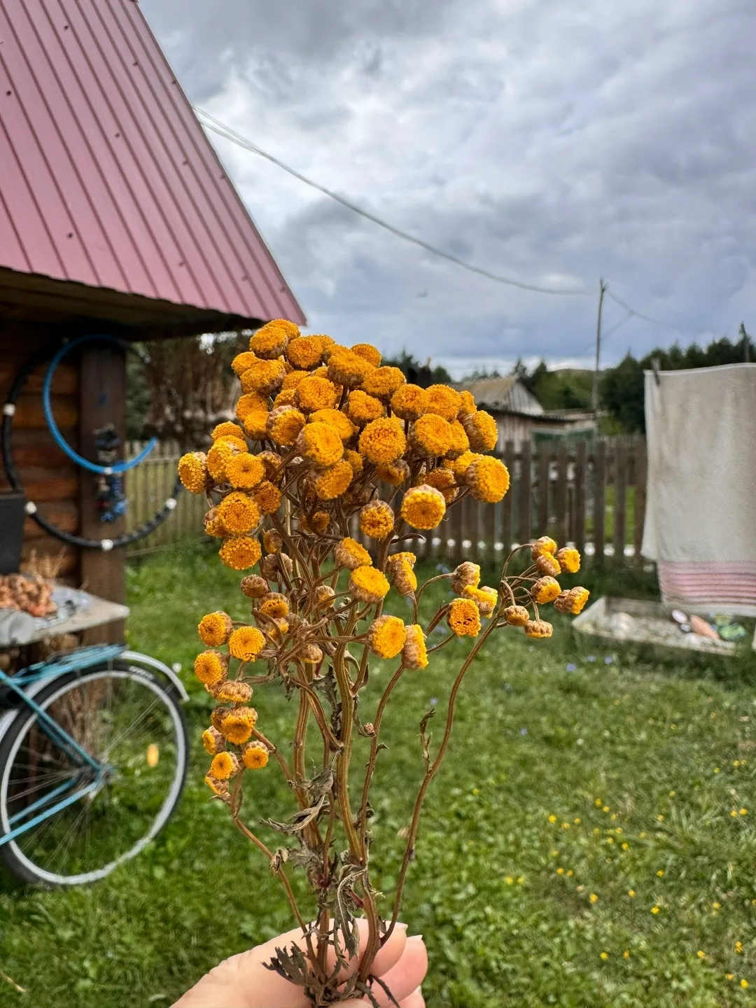 Народные советы, которые работают и сегодня