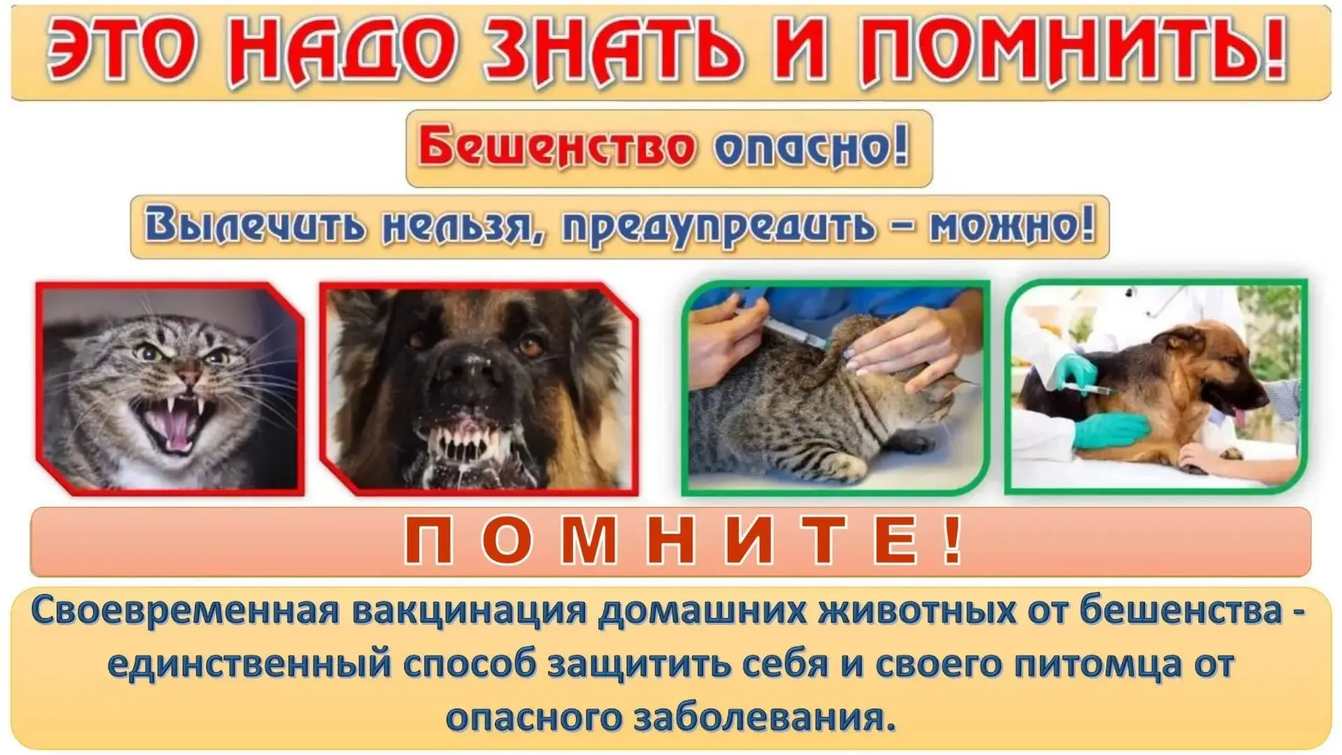 ❗Памятка для населения по профилактике бешенства❗