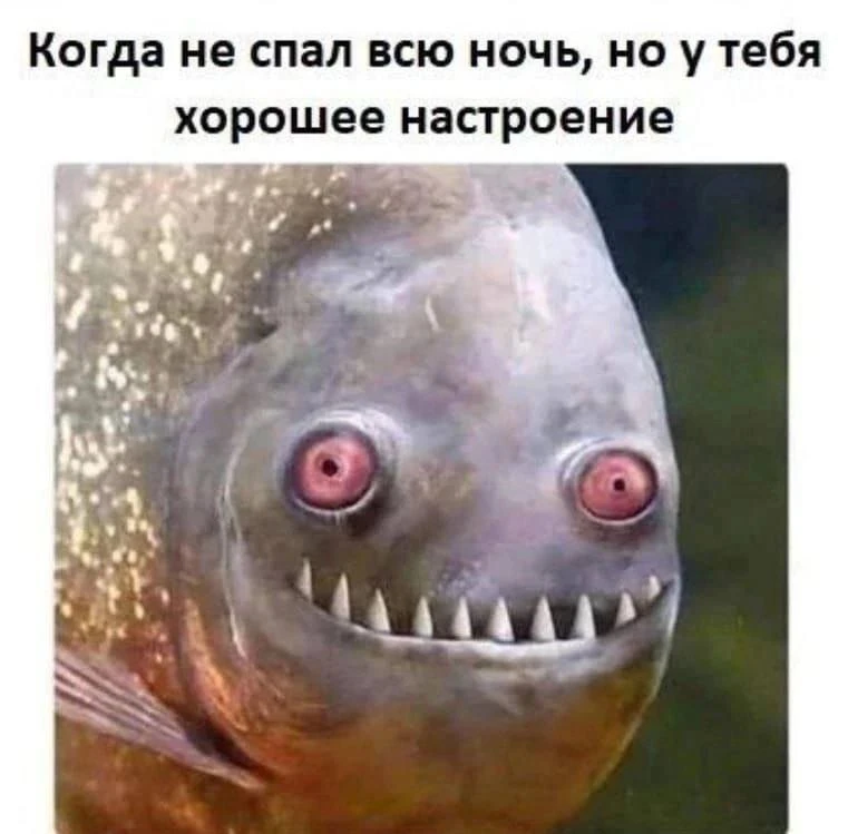 Странное, но интересное состояние 😁