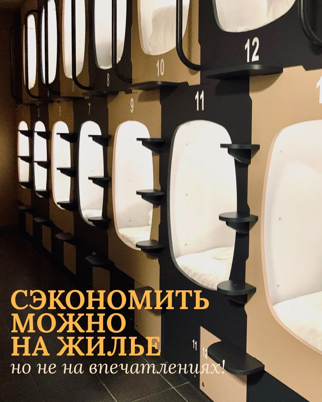 А вы знали, что можно бюджетно доехать из Москвы до Питера? Рассказываем кратко важные ...