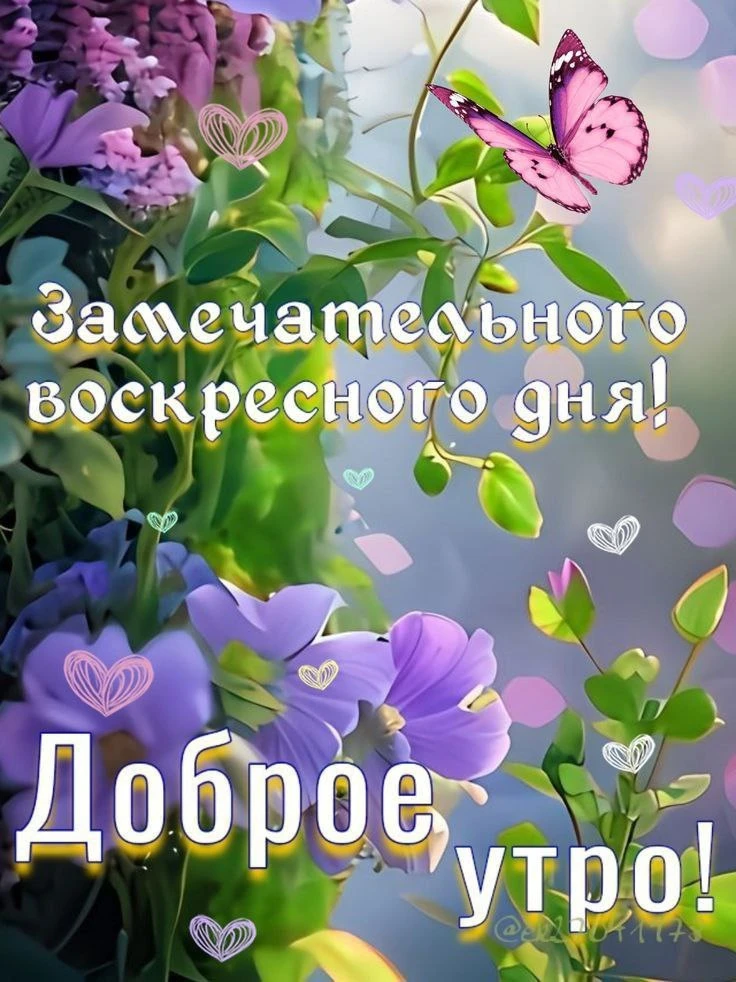 💜🌸🌿💜🌸🌿💜🌸🌿