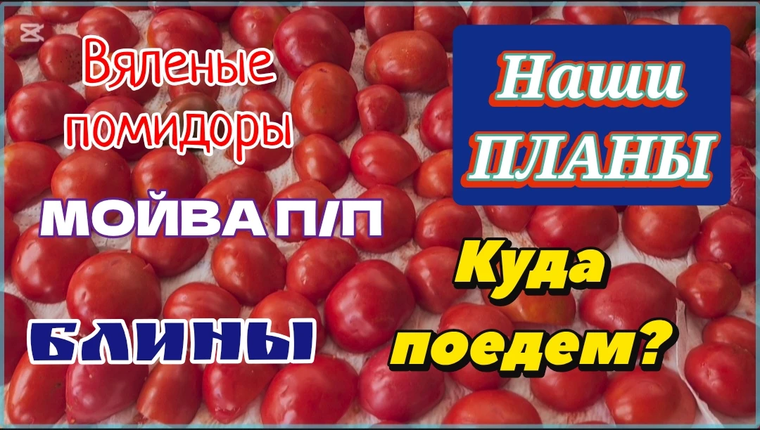 941ч🏡30.07.26-Наши планы//Куда поедем?Квартира или дом?Юг или Сибирь?Помидоры,блины,мойва

https://